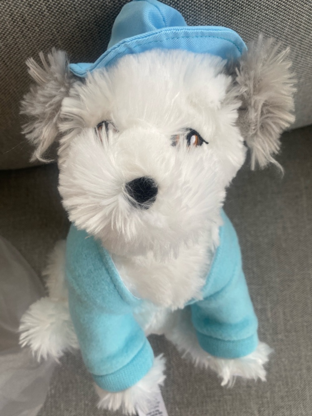 Disney 100 Years Decades The Shaggy Dog 12" Plush NWT 1950s Collection Wilby - Picture 2 of 8